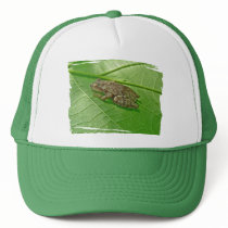 Spring Peeper (Pseudacris crucifer) Treefrog Items Mesh Hats