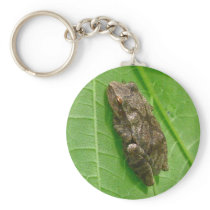 Spring Peeper (Pseudacris crucifer) Treefrog Items Key Chains
