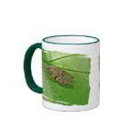 Spring Peeper (Pseudacris crucifer) Treefrog Items Mugs