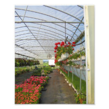 Spring! Photo Print