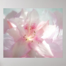 Spring Pink Azalea Photo Art Print
