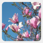 spring pink magnolia flowers in blue sky stickers