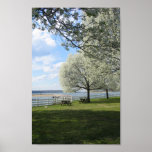 Spring Print