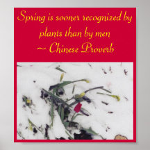 Spring - poster