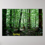 Spring posters