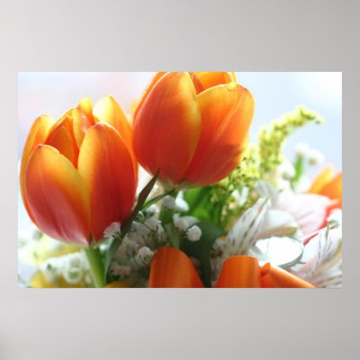 Spring Posters by efatima