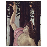 Spring (Primavera),  By Botticelli Sandro flyers