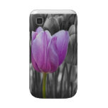 Spring Purple Tulip on Black and White Samsung Galaxy S Cases