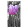 Spring Purple Tulip on Black and White Photo Greeting Card