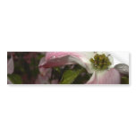 Spring Rain Bumper Sticker