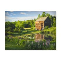 Spring Reflections in the Adirondacks, N.Y. Post Card