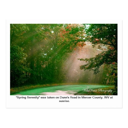 Spring Serenity Post Card