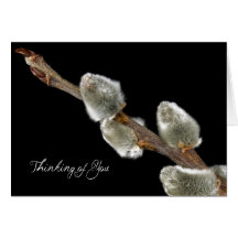 Spring Sign Card