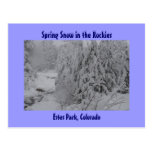 Spring Snow in the Rockies Postcard