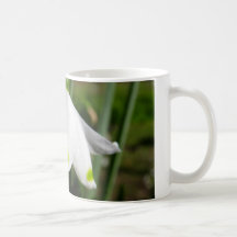 Spring Snowdrops Coffee Mugs