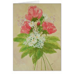 Spring Spirit cards