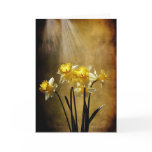 Spring Sun - Greeting Card