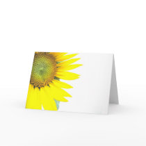 Spring sunflowers greeting cards