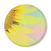 Spring sunflowers magnets