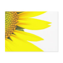 Spring sunflowers post cards