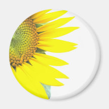 Spring sunflowers refrigerator magnets