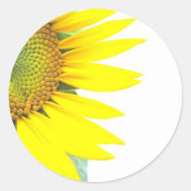 Spring sunflowers round stickers