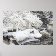 Spring Thaw Poster