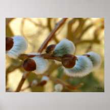 Spring Time Arrival Poster