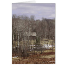 Spring Time in Vermont Cards