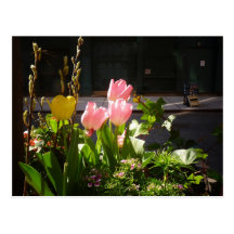 Spring Tulips Against A Street in Soho Post Card