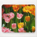 Spring Tulips Mousepad