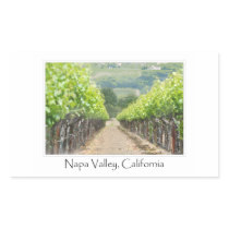 Spring Vineyard in Napa Valley California Rectangle Stickers
