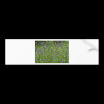 Spring Wildflowers bumper stickers