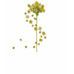 Spring Yellows t-shirts