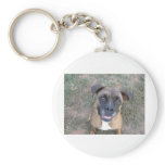 SPRINGER KEY CHAINS