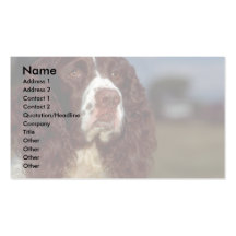Springer Spaniel Business Card