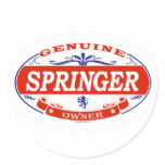 SPRINGER_ STICKER