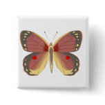 Springs Bounty buttons