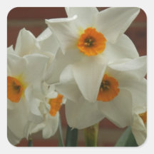Spring's finest square stickers