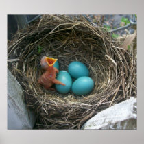 Spring's new arrival poster