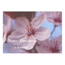 Springs Softness Business Card Templates