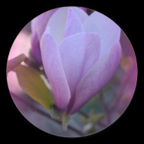 Springtime Beauty stickers