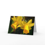 Springtime Greeting Card