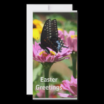 Springtime Delight photo cards