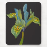 Springtime flower mousepad