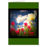Springtime Flowers Collection I Card