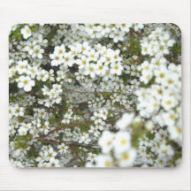 Springtime Flowers Mouse Pad