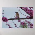 Springtime Greetings posters