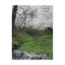 Springtime in Bethesda, Maryland Post Cards