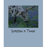 Springtime in Texas T-Shirt